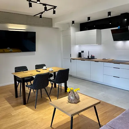 Apartment Ns Zeromskiego 6 - Luksus W Centrum Miasta Nowy Sacz